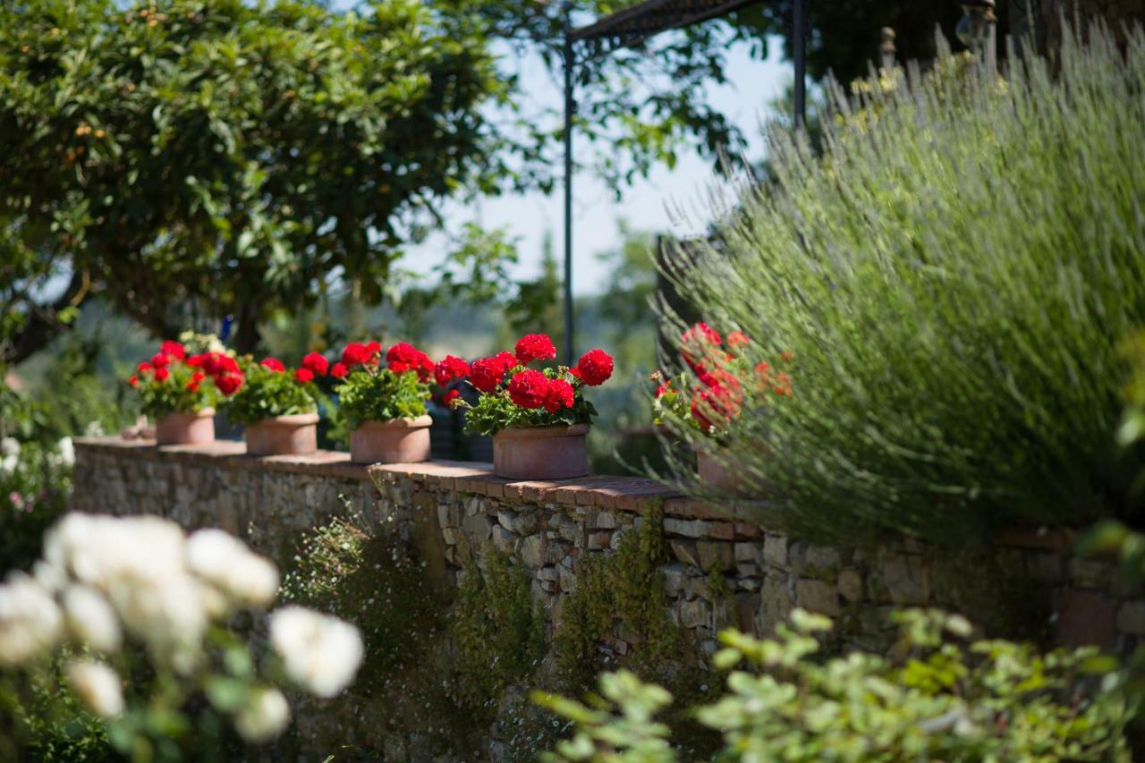 Ancora Del Chianti Bed and Breakfast Greve in Chianti Εξωτερικό φωτογραφία
